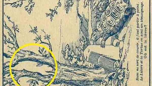 optical-illusion-challenge-answer