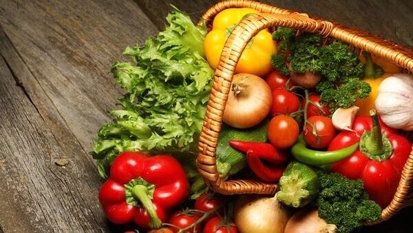 food-tips-2023