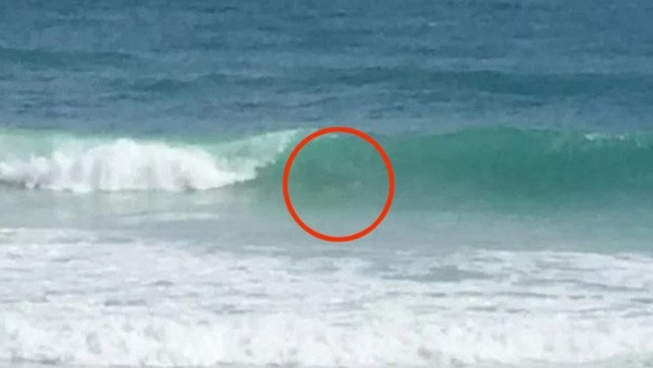 optical-illusion-challenge-answer