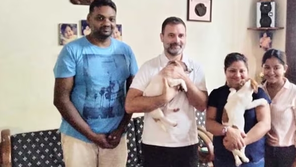 RAHUL RAHUL