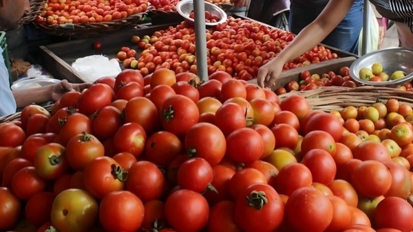 tomato-viral-video