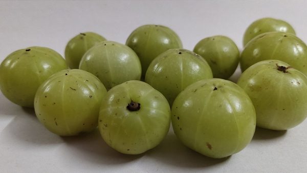 AMLA