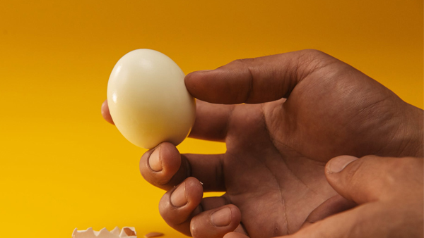egg egg