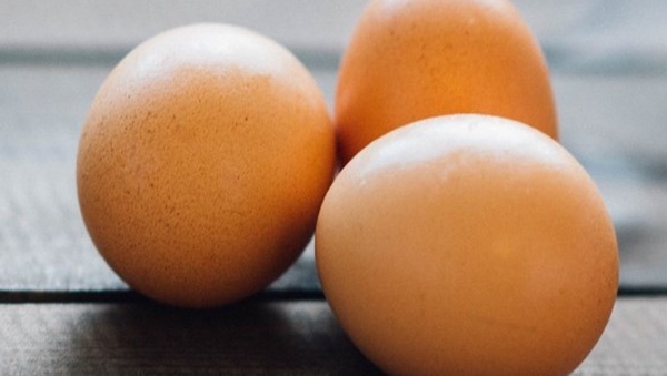 egg