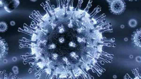 nipah