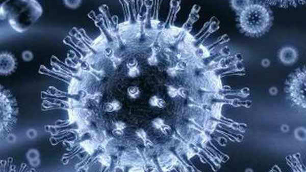 nipah