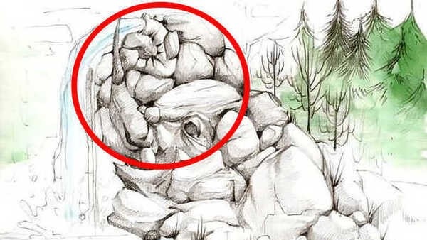 optical-illusion-challenge-answer