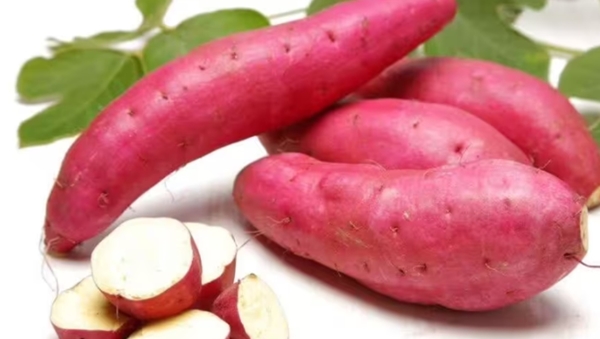 potato