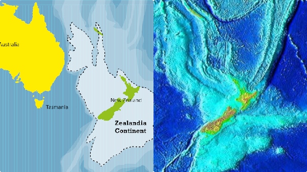 zealand-continent