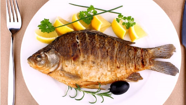 fish