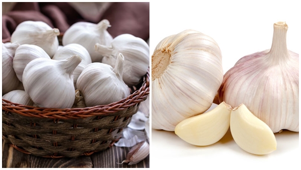 garlic