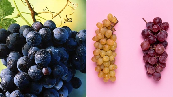 grapes-diet
