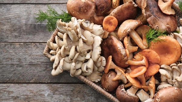Mushroom