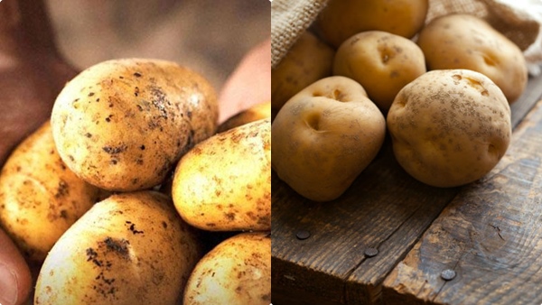 potato-weight-loss
