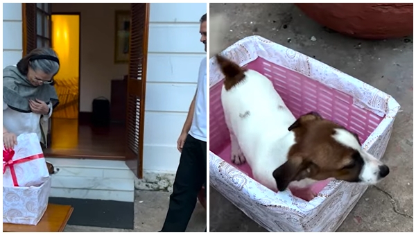 viral rahul viral rahul