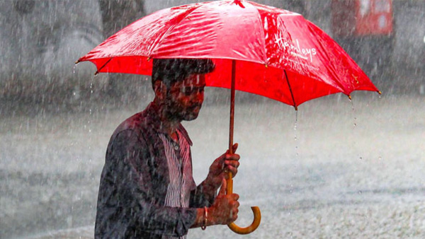 rain