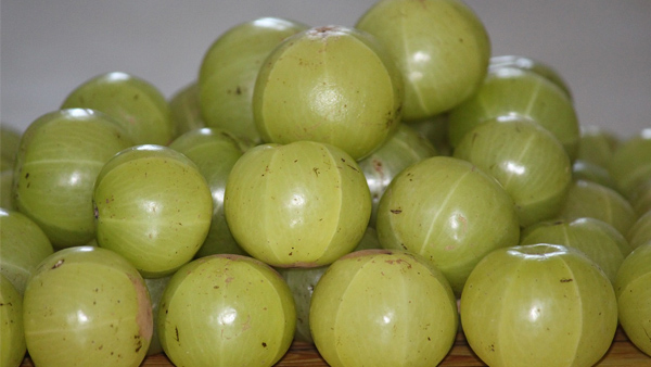 AMLA