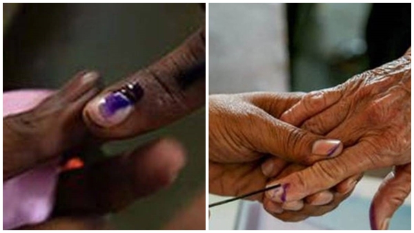 Election Election