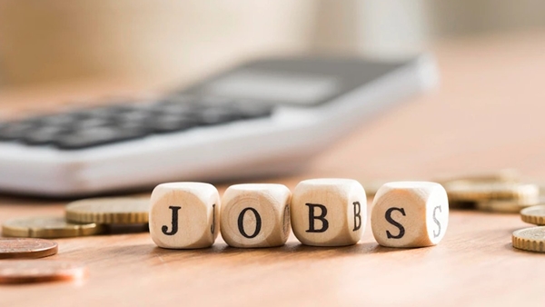  job-new