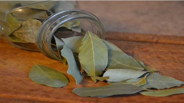 karuvapatta leaves