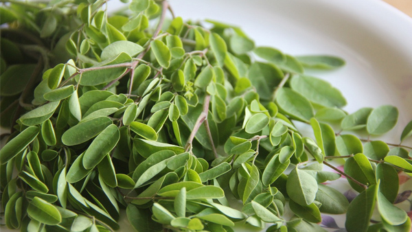 MORINGA