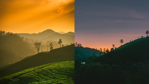 Munnar,Nelliyampathy, Silent Valley package