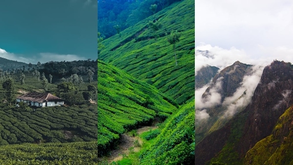  munnar2-
