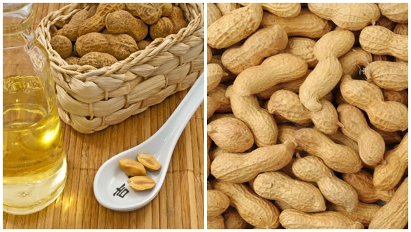Peanut Ol