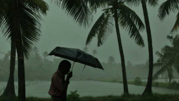 rain