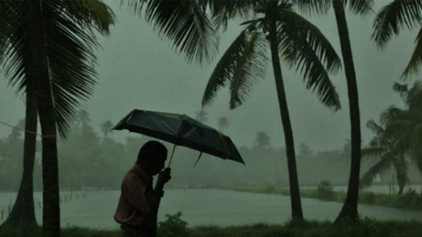 rain
