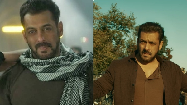 salman-khan-tiger-3