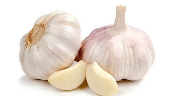 garlic