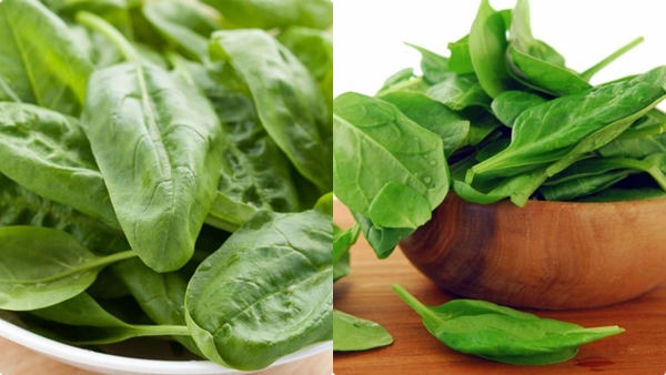 spinach-weight-loss