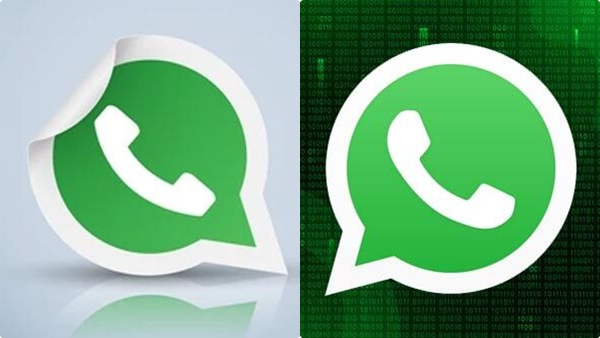 whatsapp-backup