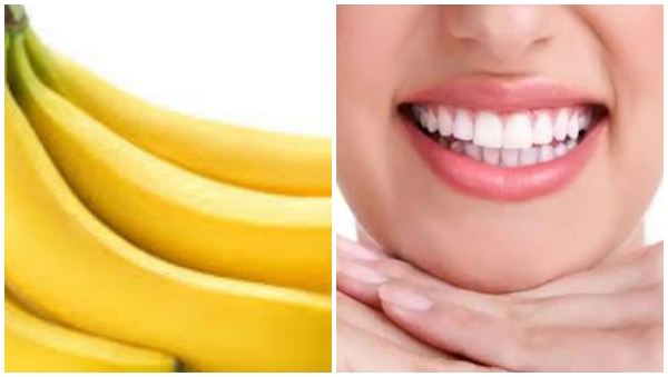 Teeth
