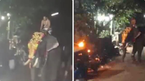 panur-festival panur-festival