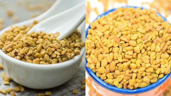 fenugreek-weight-loss