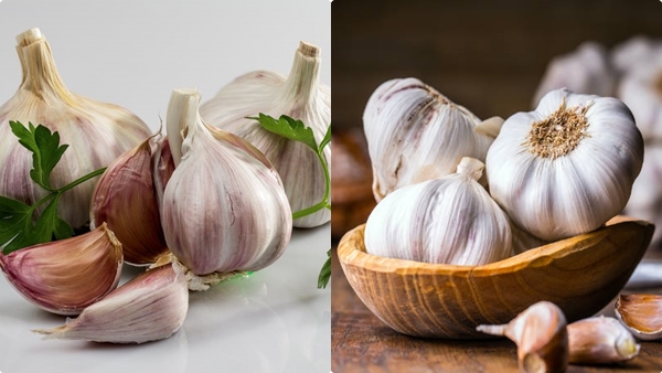 garlic-weight-loss