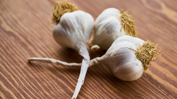 garlic
