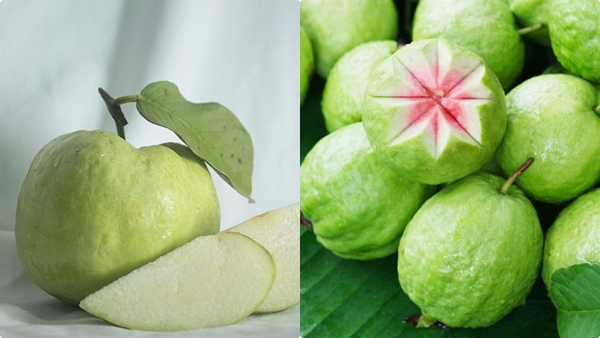 guava-weight-loss