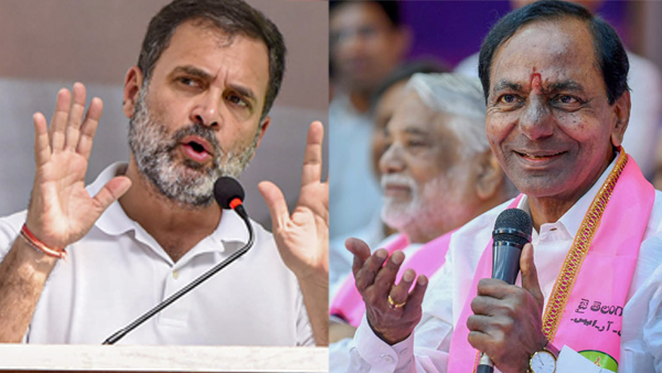 Assembly Election Results 2023