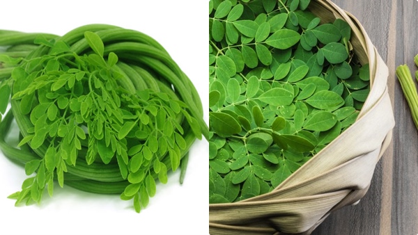 moringa-leaves