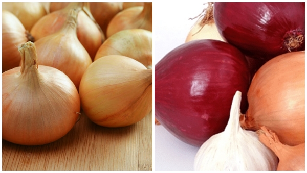 Onion Tip Onion Tip