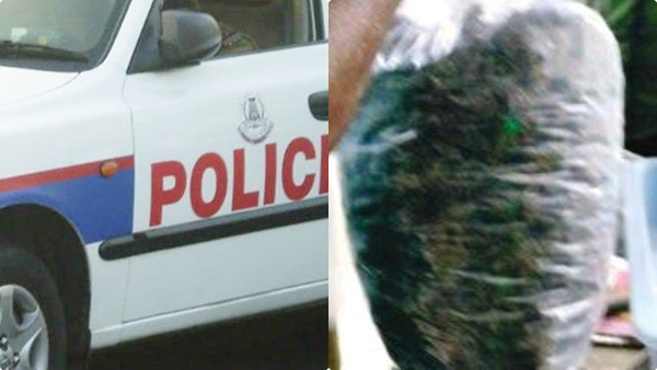 police-ganja