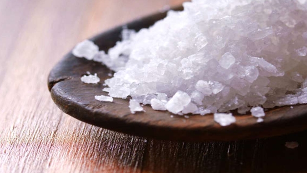 salt salt