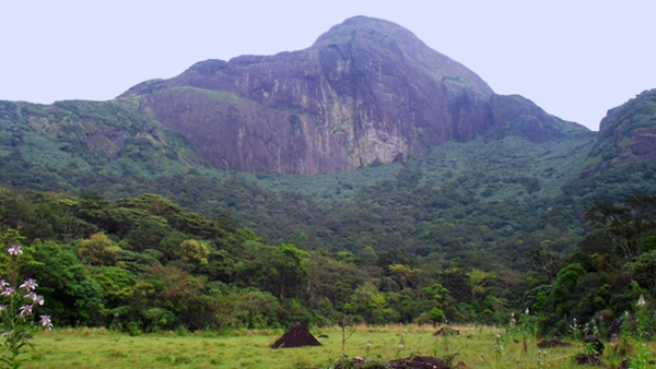 Agasthyarkoodam Trekking 