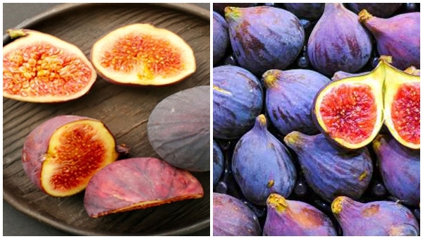 Fig