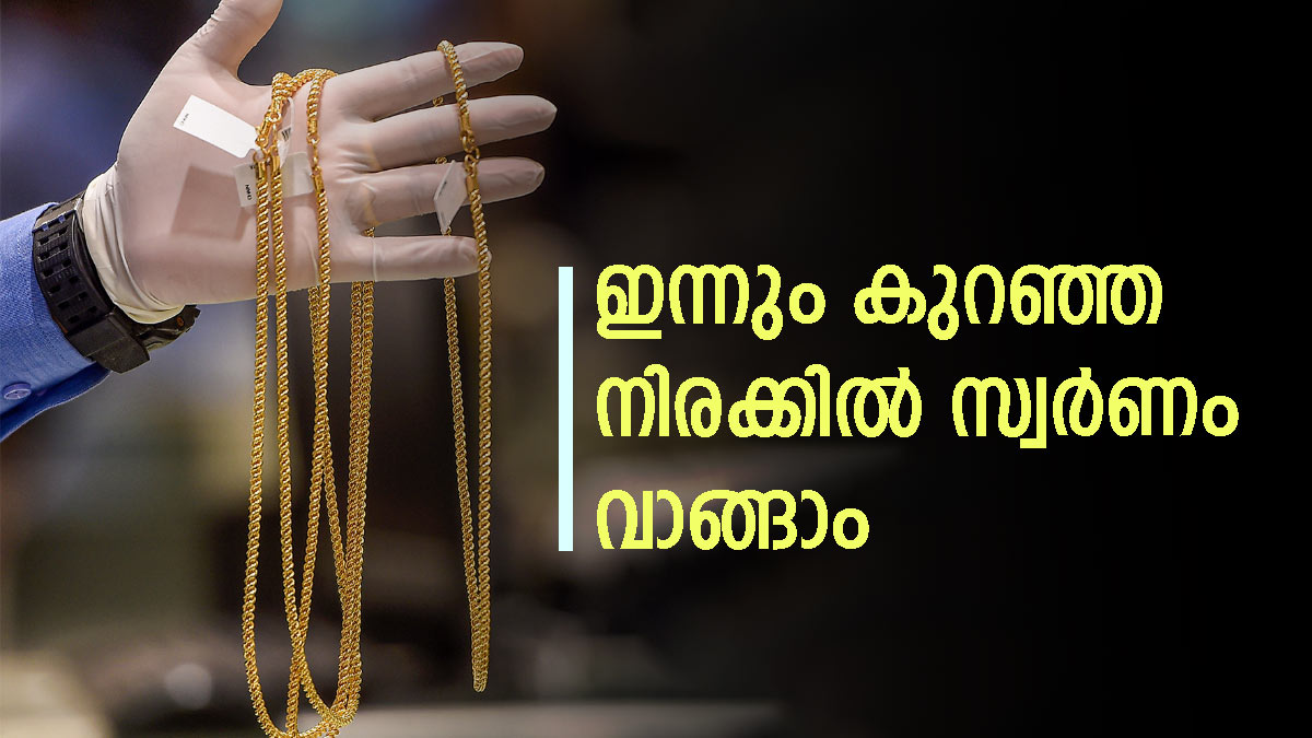 Gold Rate Kerala Today Huge Dip In Price Know How Much For One Pavan 