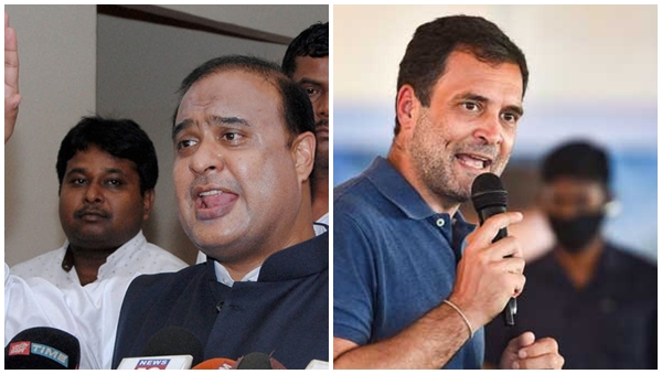 himanta himanta