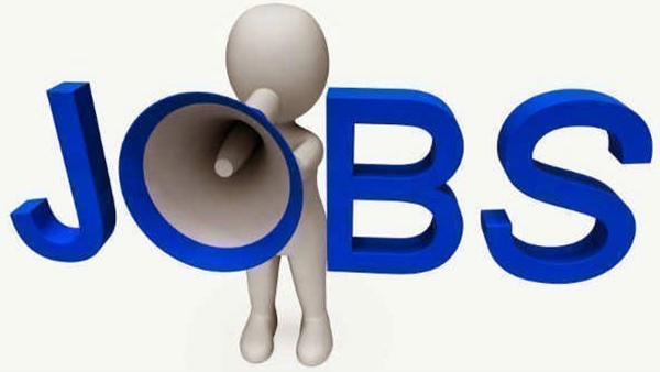  jobnews